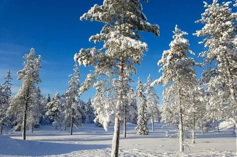 Circuit Séjour multi activités Nouvel An à l'Hôtel Olos kittila Finlande