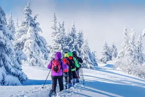 Circuit Séjour Multi-activités à l'hôtel Sirkantahti kittila Finlande