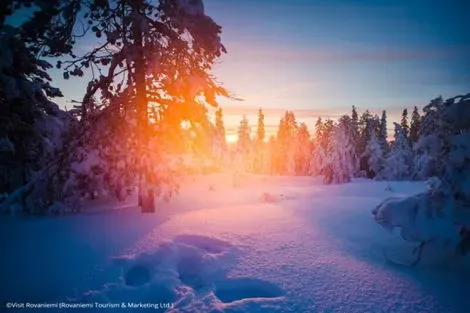 Circuit Aurores Boréales & Igloo Rovaniemi Finlande