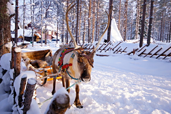 Finlande : Hôtel Séjour Activités 