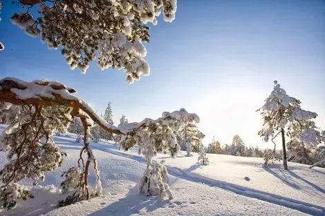 Circuit Légendes boreales à Rovaniemi rovaniemi Finlande