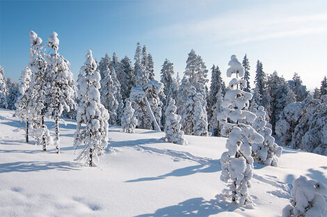 Ounasvaara