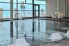 Hôtel Spa Marin du Val André Thalasso Resort Chambre Jardin 4* Bretagne