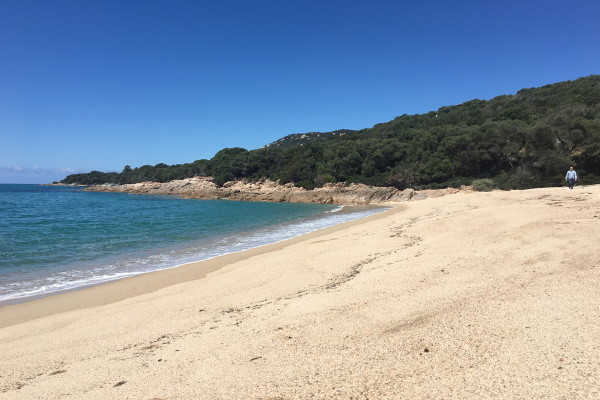 France Corse : Résidence hôtelière Capicciolo