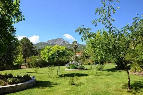 France Corse : Résidence hôtelière Casa Oleanda