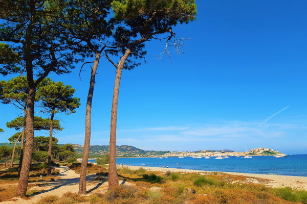 France Corse : Camping Dolce Vita