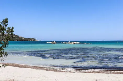 France Corse : Résidence hôtelière Moby Dick