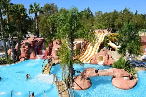 vol+hotel Sejour sans transport Camping Les Palmiers 4* France Provence-Cote d Azur Hyères