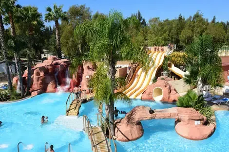 Camping Les Palmiers Hyeres France Provence-Cote d Azur