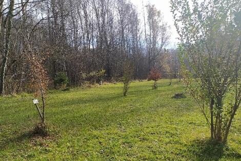 Camping les Bouleaux allemond France