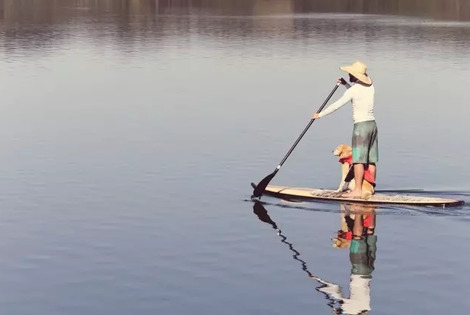 Camping Village Loisirs de Goule bessais_le_fromental France