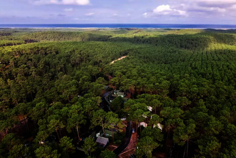 Résidence locative Résidence Domaine Les Cavales carcans France