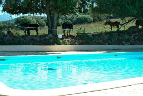 Camping U Sommalu casaglione France