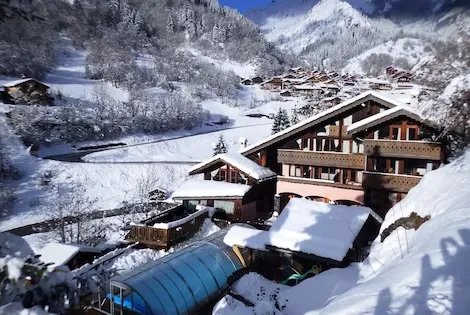 Résidence locative Résidence Les Edelweiss champagny_en_vanoise France