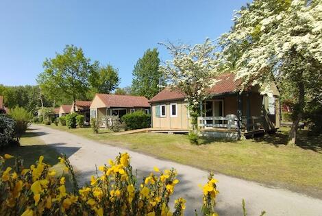 Camping CARAVANING L'OREE DU BOIS conchilletemple France