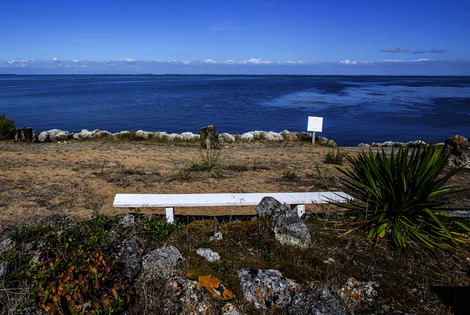 Camping Ostréa dolus_d_oleron France
