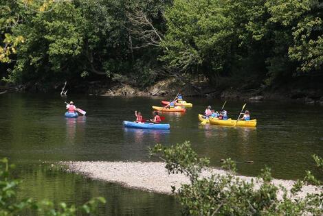 Camping Les Rives de la Dordogne domme France