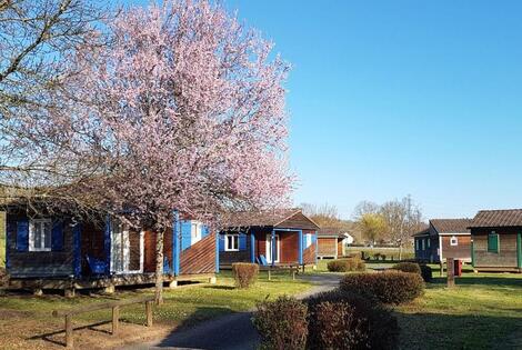 Camping municipal La Rivière - Donzenac donzenac France