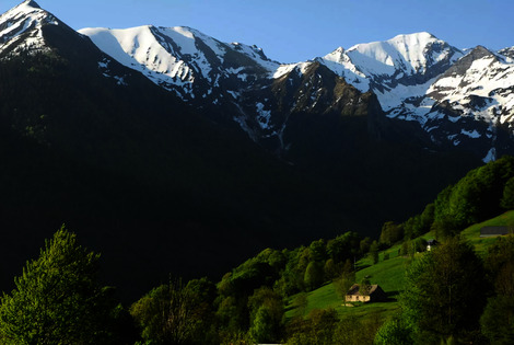 Flower Camping Pyrénées Natura estaing France