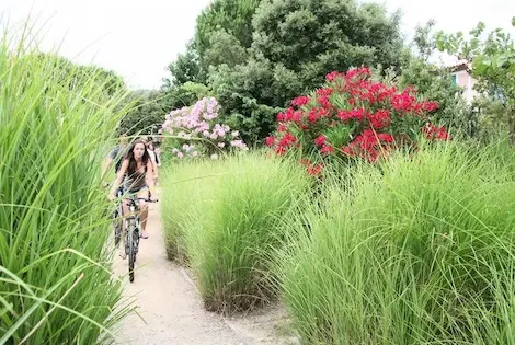 Résidence locative Pierre & Vacances Les Restanques du Golfe de Saint Tropez grimaud France