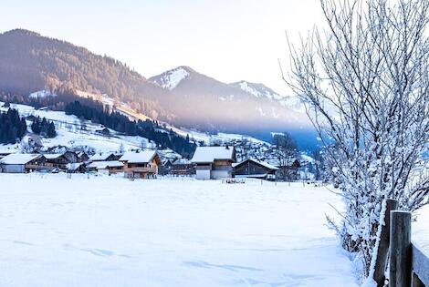 Résidence locative Oasis Les Portes du Soleil la_chapelle_d_abondance France