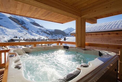 Chalet L'Hermine les_deux_alpes France