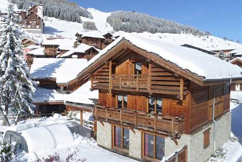 Chalet Le Loup Lodge les_deux_alpes France