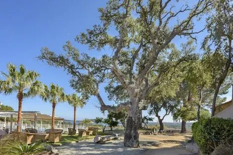 Hôtel Residence U Paesolu sainte_lucie_de_porto_vecchio FRANCE