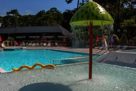 Camping Océan Vacances saintgeorgesdedidonne France