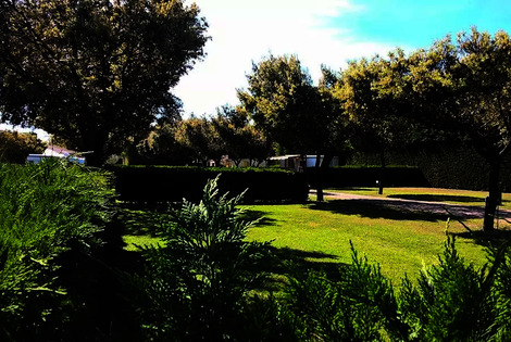 Camping des Favards violes France