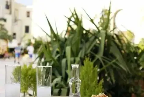 Hôtel Vilelmine agia_marina GRECE