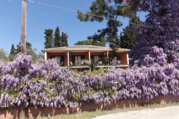 Grece : Hôtel Dassia Beach