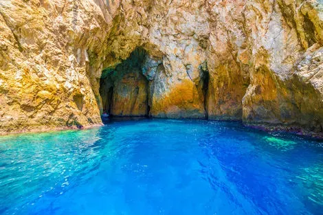 Paxos
