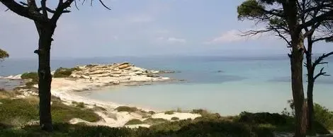 Hôtel Avra Hotel halkidiki GRECE