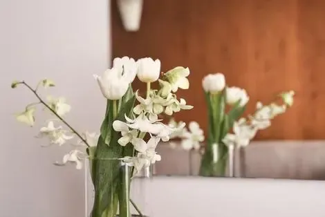 Hôtel Lato Boutique kokkini_hani GRECE