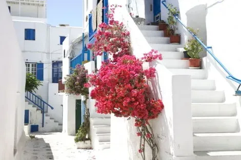 Circuit Mykonos Paros Santorin - De Mykonos A Santorin mykonos Grece