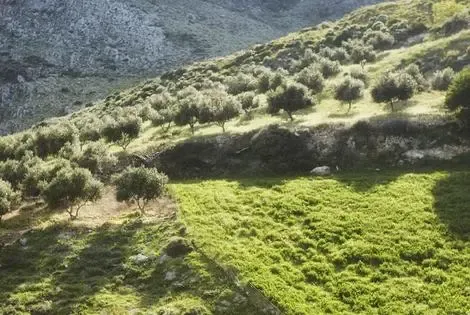 Hôtel Earino sfakaki GRECE