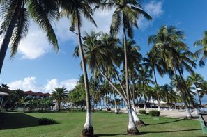 Guadeloupe-Pointe A Pitre, Hôtel Fleur d'épée 3*