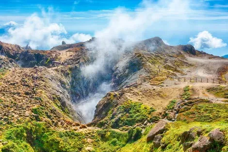Autotour Butinez sur l'Ile Papillon pointe_a_pitre Guadeloupe