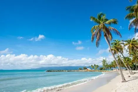 Guadeloupe-Pointe A Pitre, Hôtel Arawak Beach Resort 4*