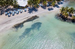 Guadeloupe-Pointe A Pitre, Hôtel Canella Beach 3*