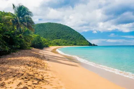 Autotour Sur la Route : Les perles de la Guadeloupe pointe_a_pitre Guadeloupe
