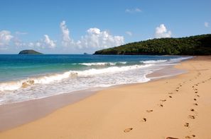Guadeloupe-Pointe A Pitre, Hôtel Le Rayon Vert 3* + Location de voiture