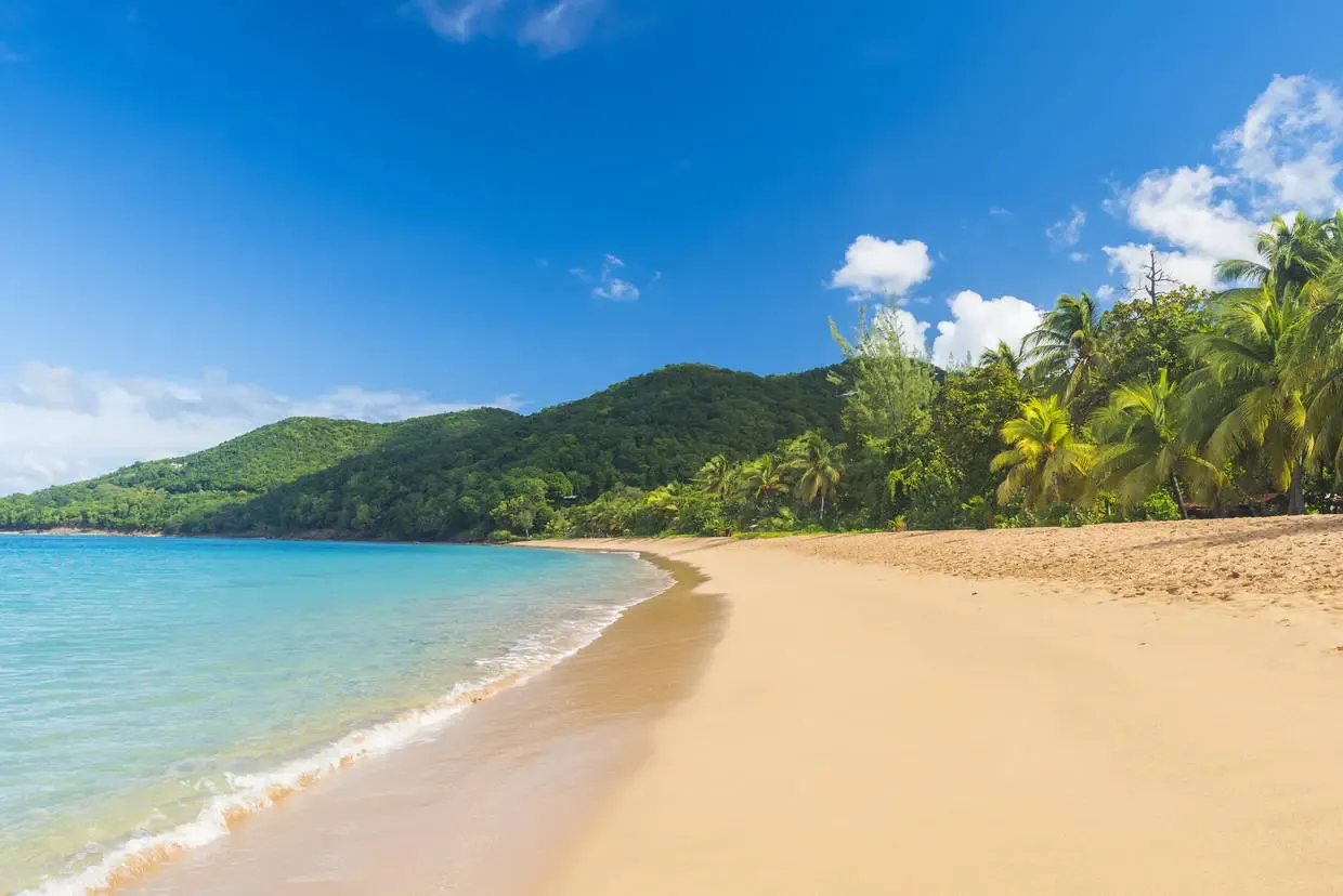 Guadeloupe : Résidence hôtelière Résidence Fleurs des Iles