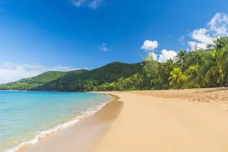 Guadeloupe : Résidence hôtelière Résidence Fleurs des Iles