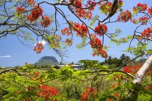 Ile Maurice-Wolmar, Hôtel Sea Villa Mauritius 3*
