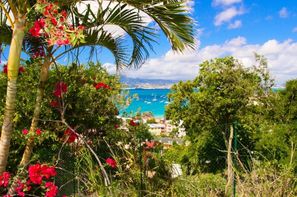 Iles Grenadines-Fort de France, Hôtel Karibea Camelia 2*