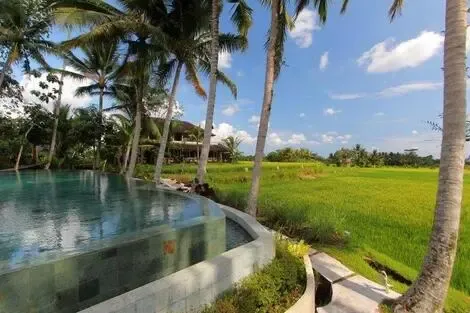 Hôtel Mathis Retreat ubud INDONESIE