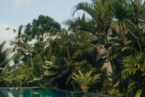 Hôtel The Shala Bali ubud INDONESIE