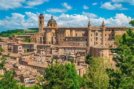 Urbino